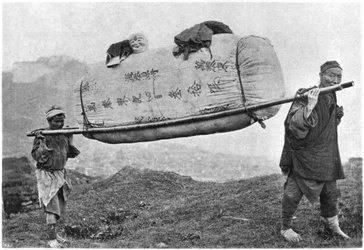 Coolies carrying cotton, 1901